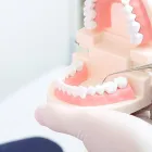 診療科目